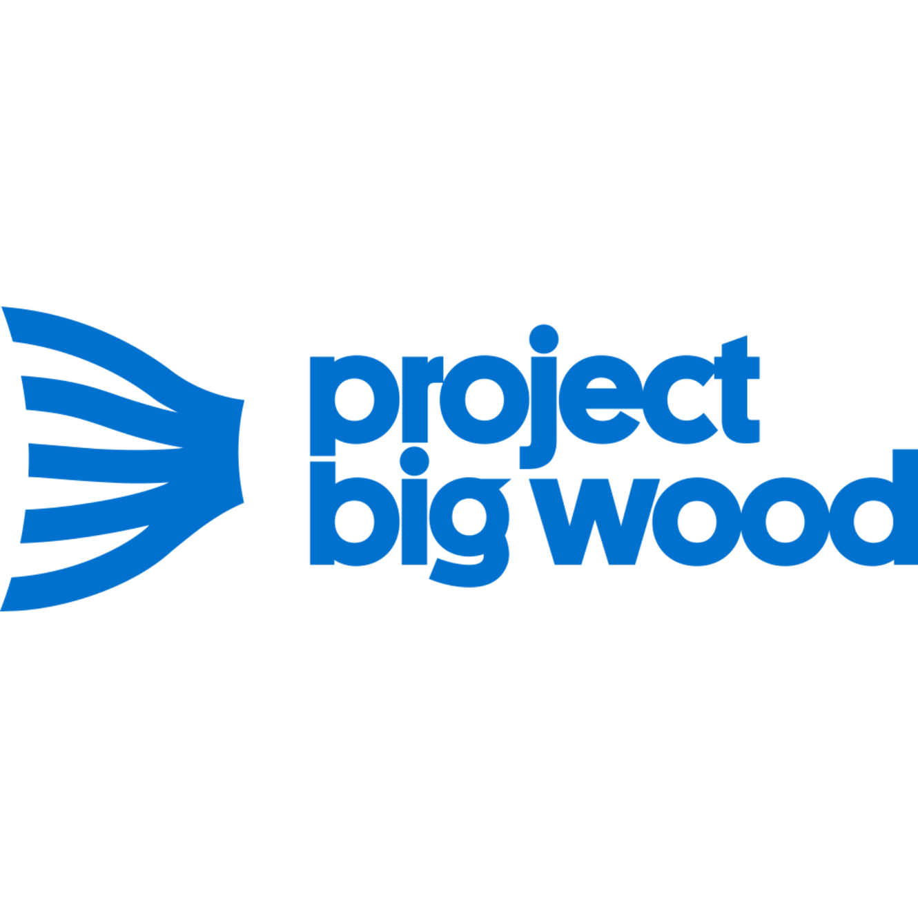 Project Big Wood